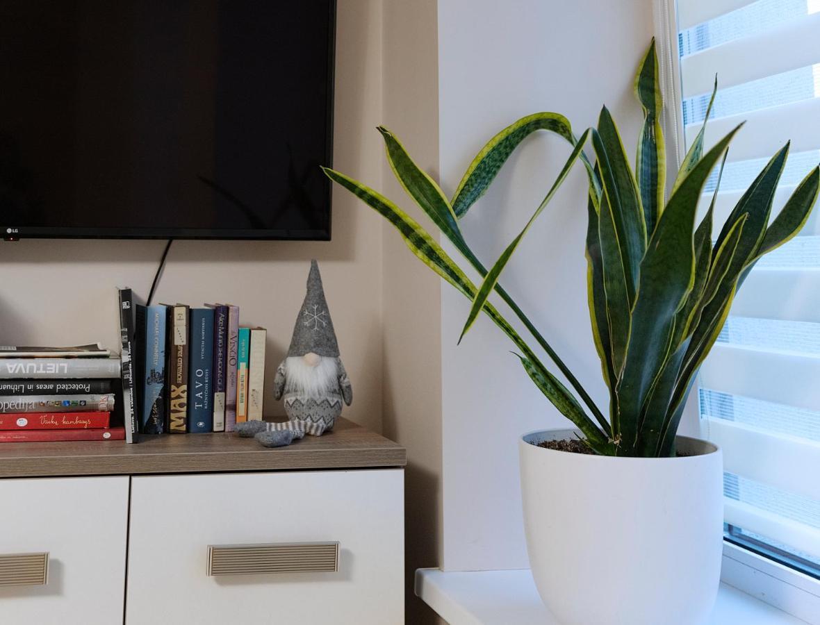 Sodu Apartment Kaunas Esterno foto
